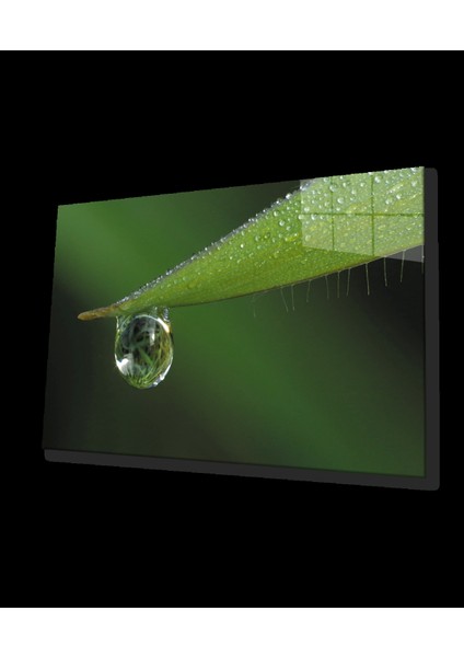 Su Damlası Yeşil Yaprak