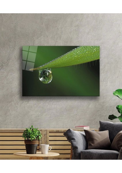 Su Damlası Yeşil Yaprak fiyatları