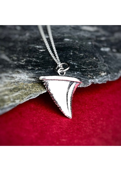 Gümüş Köpek Balığı Dişi Kolye 925 Ayar Gümüş Köpek Balığı Dişi Figürlü Erkek Kolye