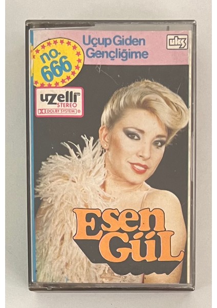 Esengül - Uçup Giden Gençliğime Kaset (Orjnal Uzelli 666 Dönem Alman Kağıt Baskı Kaset)