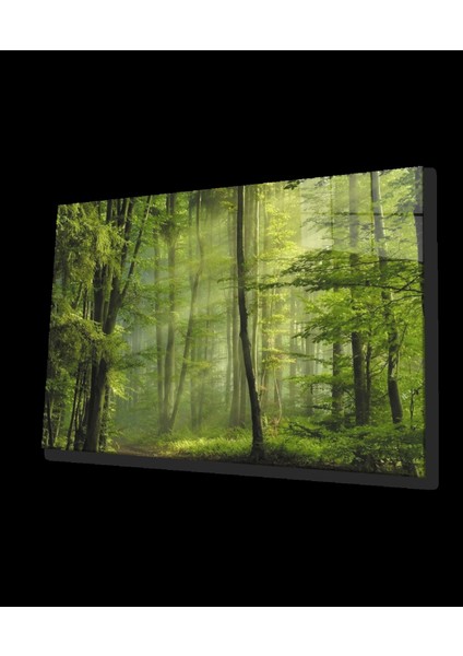 Ağaç Yeşil Orman Cam Tablo