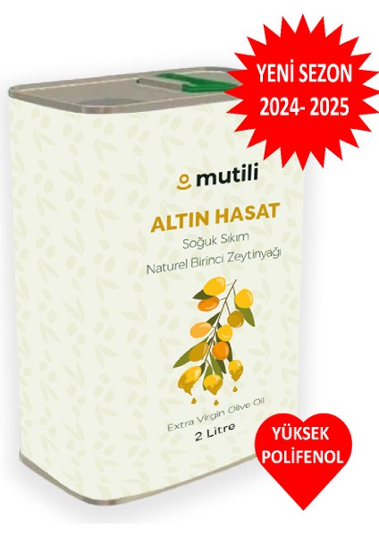 Yeni Sezon Zeytinyağı Erken Hasat Soğuk Sıkım 2 Lt Zeytinyağı Mut Zeytinyağı Altın Hasat