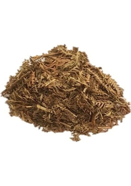 Solucan Otu Tanacetum Vulgare 500G fiyatları