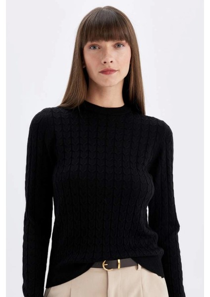 X7713 Regular Fit Bisiklet Yaka Saç Örgülü Düğmeli Siyah Triko Kazak