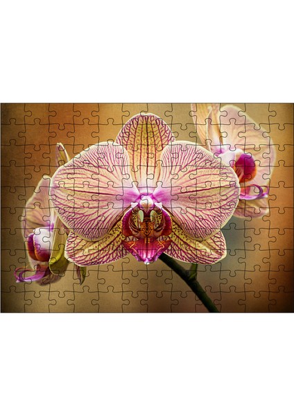 Ahşap Mdf Puzzle Yapboz Pembe Orkide Çiçeği 120 Parça 25*35 cm