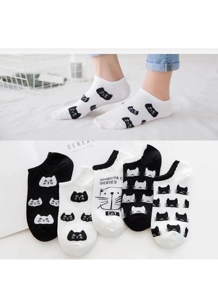 Renkli Kedi Desenli Ultra Soft Lastikli 5'li Çorap Seti