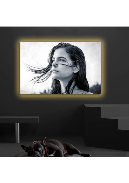 LED Işıklı Kanvas Tablo, 3D Dekoratif Baskılı Tablo Yapay Zeka Destekli Modern Tasarımlar 57