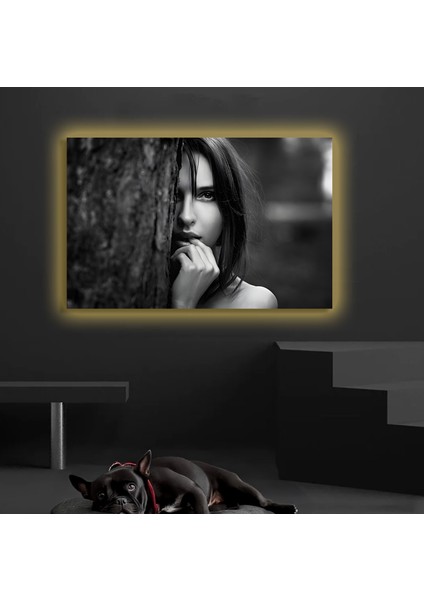 LED Işıklı Kanvas Tablo, 3D Dekoratif Baskılı Tablo Yapay Zeka Destekli Modern Tasarımlar 179