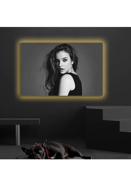 LED Işıklı Kanvas Tablo, 3D Dekoratif Baskılı Tablo Yapay Zeka Destekli Modern Tasarımlar 61