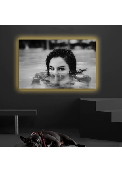 LED Işıklı Kanvas Tablo, 3D Dekoratif Baskılı Tablo Yapay Zeka Destekli Modern Tasarımlar 49