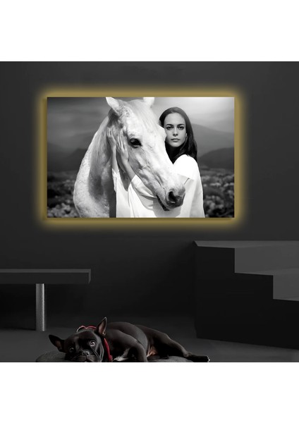 LED Işıklı Kanvas Tablo, 3D Dekoratif Baskılı Tablo Yapay Zeka Destekli Modern Tasarımlar 165