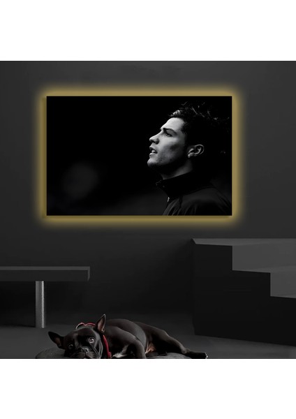 LED Işıklı Kanvas Tablo, 3D Dekoratif Baskılı Tablo Yapay Zeka Destekli Modern Tasarımlar 245 fiyatları