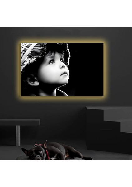 LED Işıklı Kanvas Tablo, 3D Dekoratif Baskılı Tablo Yapay Zeka Destekli Modern Tasarımlar 237