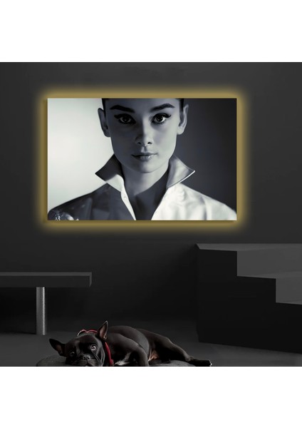 LED Işıklı Kanvas Tablo, 3D Dekoratif Baskılı Tablo Yapay Zeka Destekli Modern Tasarımlar 47