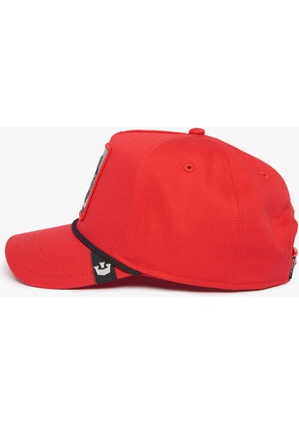 Panther 100.RED