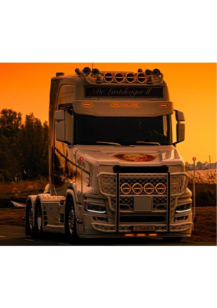 Strands Firefly 9" Black