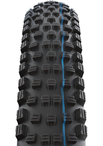 Wıcked Wıll 29X2.40 Performance Line|addix Speedgrip Katlanır Dış Lastik