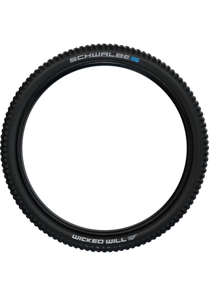 Wıcked Wıll 29X2.40 Performance Line|addix Speedgrip Katlanır Dış Lastik