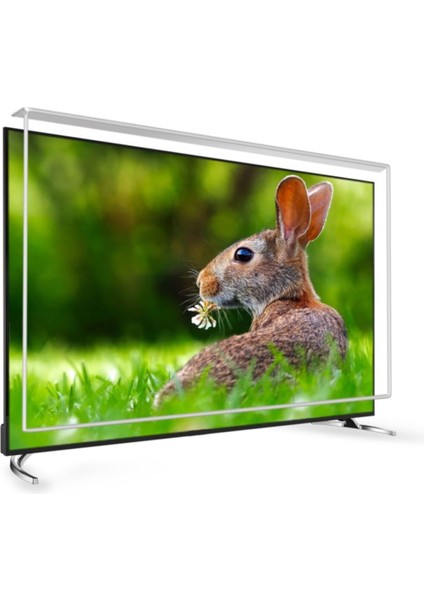 70 Inç 178 Ekran Tv Ekran Koruyucu Toshiba Ekran Koruma Paneli
