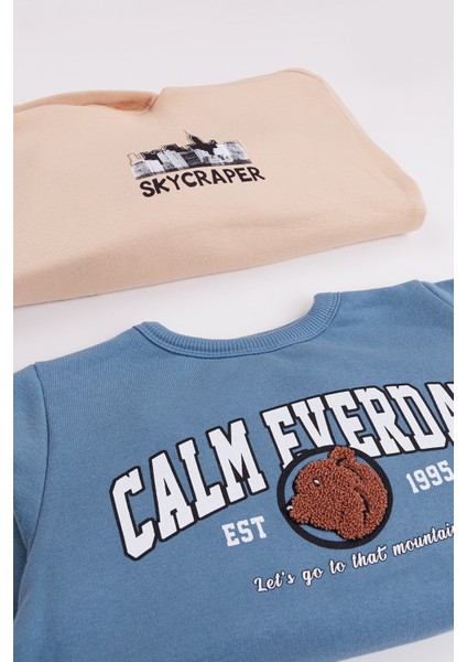 Erkek Çocuk 2'li Paket Basic Sweatshirt fiyatları