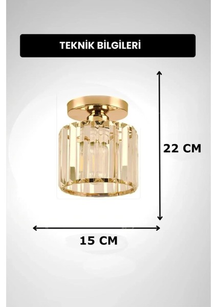 Tekno Trust Luxury Plafonyer Gold Avize