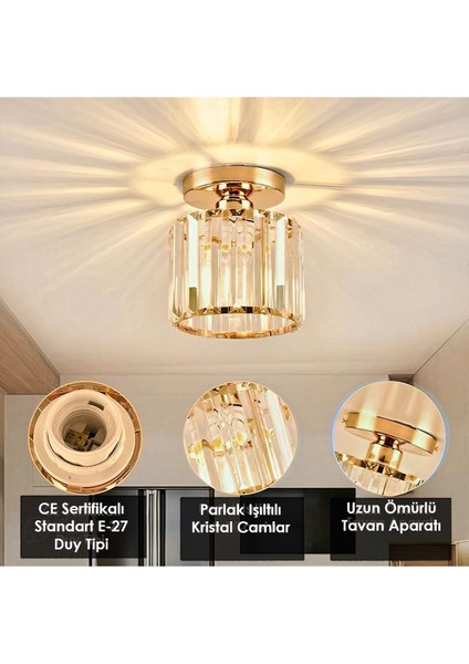 Tekno Trust Luxury Plafonyer Gold Avize