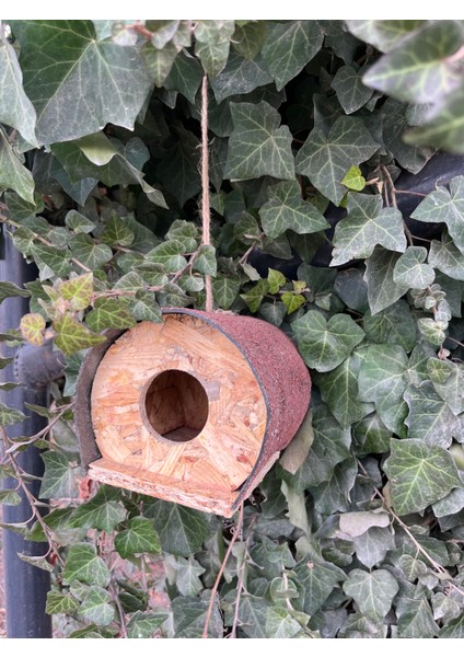 Kuş Yuvası Ahşap Osb Su Geçirmez Ucuz