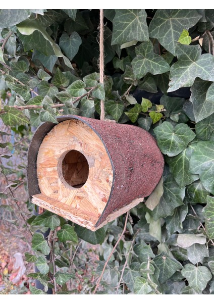 Kuş Yuvası Ahşap Osb Su Geçirmez Ucuz