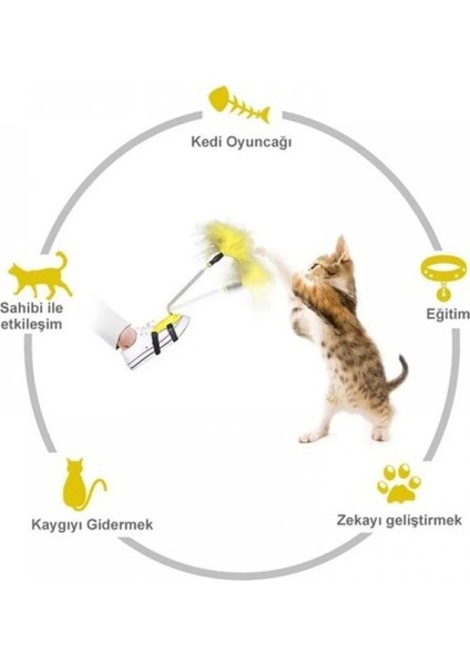 Ayağa Takılan Kedi Oltası fiyatları