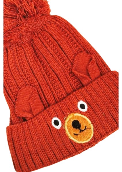 Yünlü Figürlü Ponponlu Çocuk Bere Kiremit fiyatları