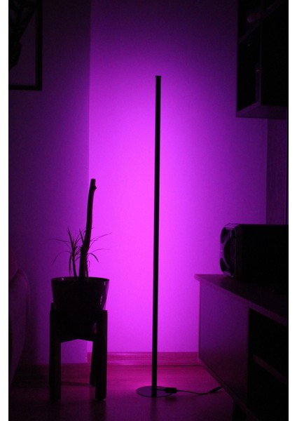 Renkli LED Lambader, Yükseklik 101-150cm, Metal Ayak, Kumandalı, Dekoratif Aydınlatma