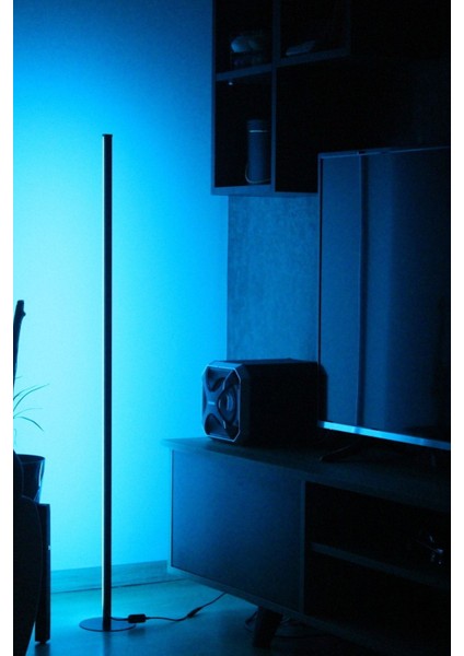 Renkli LED Lambader, Yükseklik 101-150cm, Metal Ayak, Kumandalı, Dekoratif Aydınlatma modelleri