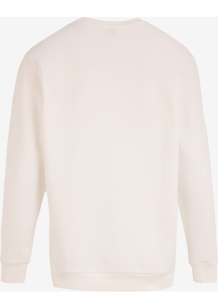 Bisiklet Yaka Ekru Erkek Sweatshırt M4WM-SWT-1819 fiyatları