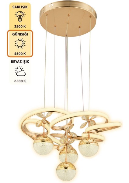 3 Renkli Kumandalı Modern Gold Kaplama Sarkıt LED Avize, 4'lü, 45x70 cm
