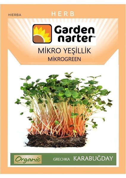 Garden Narter Mikro Yeşillik Için Microgreen Organik Greçka Kara Buğday Tohumu 50 gr 1400 Tohum