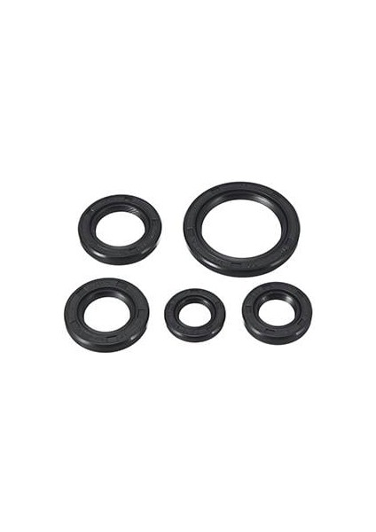 Fizy 125 Keçe Takım Oem