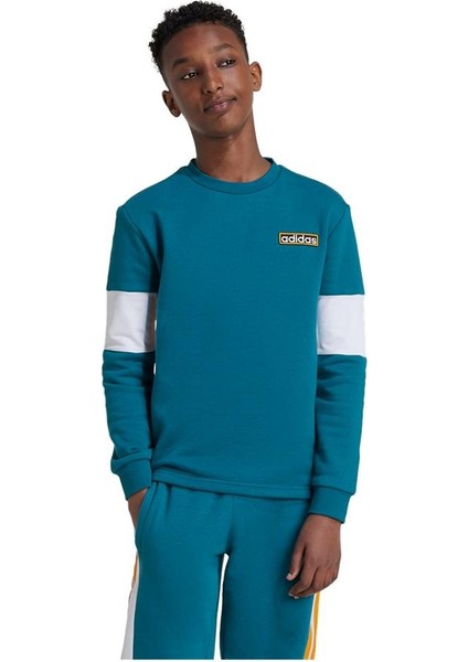 CREW Unisex Çocuk Sweatshirt IW6013