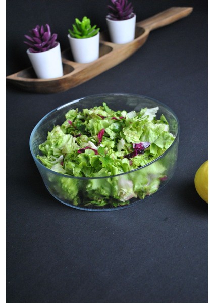Modern Cam Salata Tabağı 20 cm Çok Amaçlı Yuvarlak Sunum ve Servis Kasesi 1 Adet