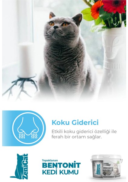 Kokulu Renkli Kedi Kumu Ince Taneli Doğal Bentonit modelleri