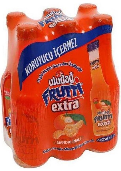 Frutti Extra Mandalinalı 250 ml x 6 Adet