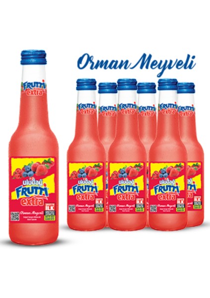 Frutti Extra Orman Meyveli 250 ml x 6 Adet