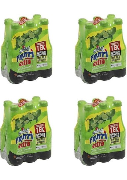 Frutti Extra Yeşil Limonlu 250 ml x 24 Adet