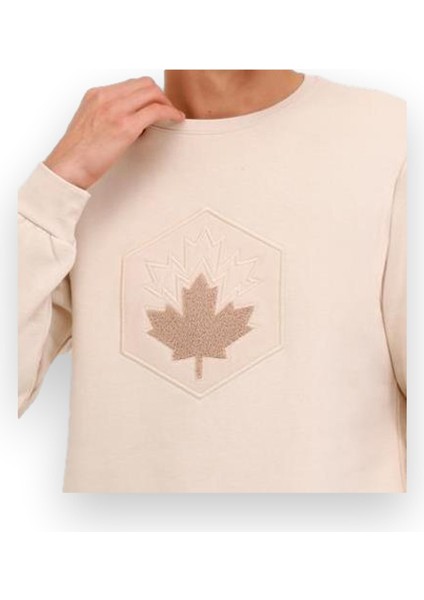 4W ml Aron 16SD4001 4pr Sweat Erkek Sweatshirt fiyatları