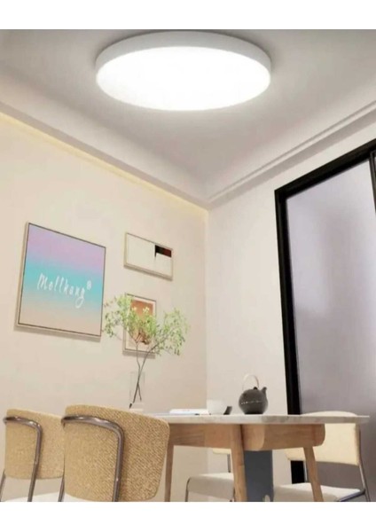 Tekno Trust Büyük Boy LED Panel Avize 24W 6500K Beyaz Işık 30CM Çapında Banyo Balkon Wc Aydınlatma Armatürü