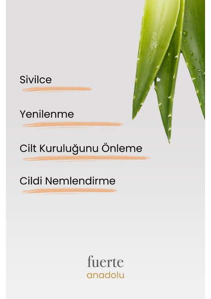 Aloe Vera Sabunu (Avantajlı Paket) 5 Adet