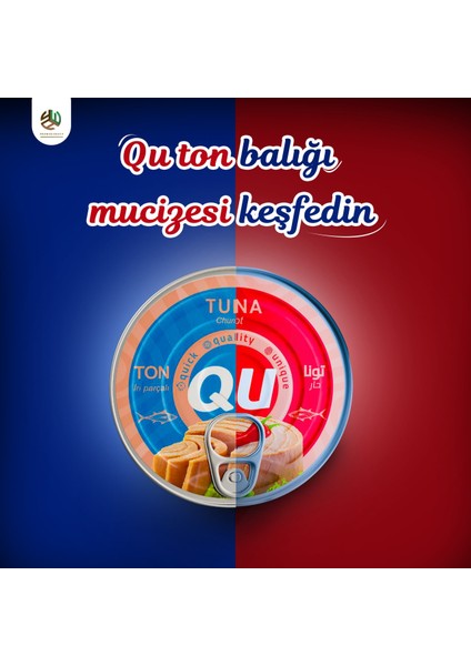 Acılı ve Tatlı Ton Balığı 160 G fırsatları