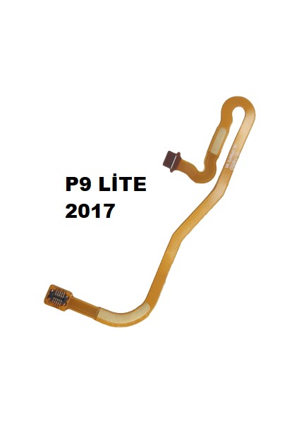 Huawei Uyumlu P9 Lite 2017 Ara Film