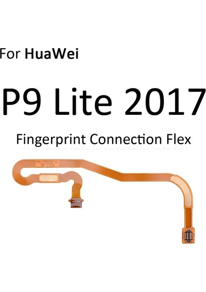 Huawei Uyumlu P9 Lite 2017 Parmak İzi Okuyucu Ara Filmi