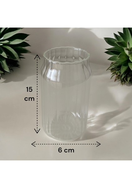 Çizgili Cam Kahve Meşrubat Bardağı 400 ml Cam Pipet Hediyeli