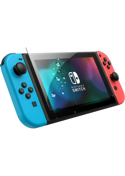 Nintendo Switch Ekran Koruyucu 9h Nano Temperli Cam